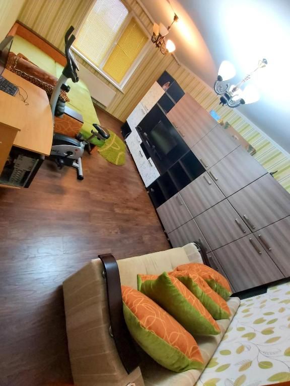 Апартаменты Apartament Svetlana Кишинёв-16