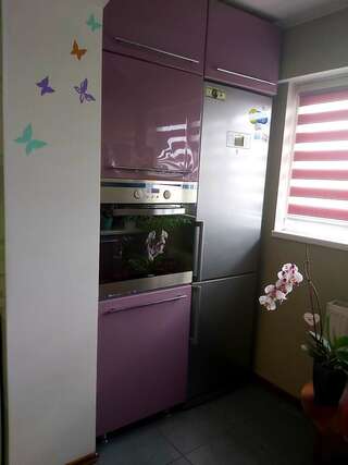 Апартаменты Apartament Svetlana Кишинёв-3